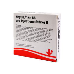 Neydil Nr.66 Pro Injectione St. Ii Ampullen