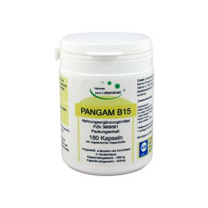 Pangam Vitamin B15