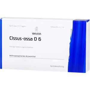 Cissus-Ossa D6