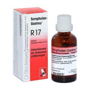 Scrophulae Gastreu R 17