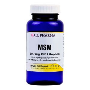 MSM 500MG GPH KAPSELN