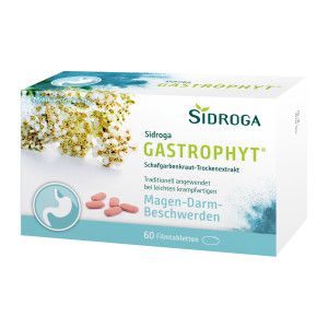 Sidroga GastroPhyt 250 mg Filmtabletten