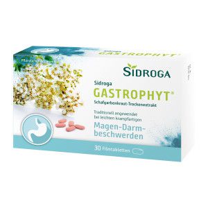 Sidroga GastroPhyt 250 mg Filmtabletten