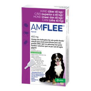 Amflee 402 mg Lösung zum Auftropfen für sehr große Hunde