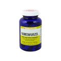 Yamswurzel 500 mg GPH Kapseln