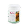 Maca 500