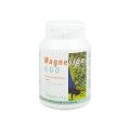 Endima Magnesium 600 Kapseln