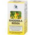 RHODIOLA ROSEA KAPS 200MG