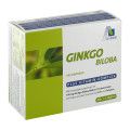 Ginkgo-Biloba-Kapseln