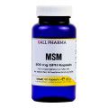 MSM 500MG GPH KAPSELN