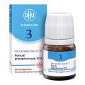 DHU Schüßler-Salz Nr. 3 Ferrum phosphoricum D12 Globuli